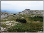 foto Opere belliche della Grande Guerra sul Pasubio